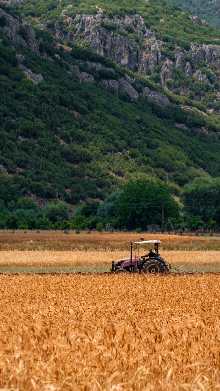 Tractor cultivating a wheat field in Çeltikçi, Türkiye, beneath rolling hills.